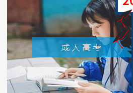 重慶叢星教育信息咨詢服務(wù)